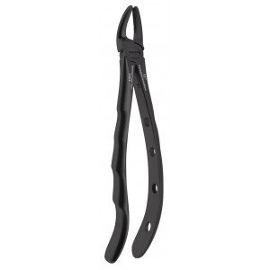 Upper Premolar Fig. No # 7 Black