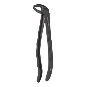 Lower Premolar Fig. No # 13 Black