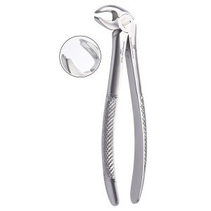 Lower Moler Fig. No # 22