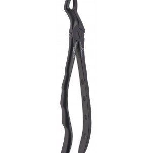 Upper Wisdom/Third Molar Fig. No # 67 Black