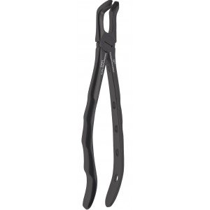 Lower Third Molar Fig. No # 79 Black