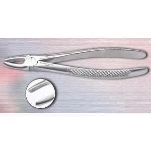 Upper Anterior Fig. No # 1