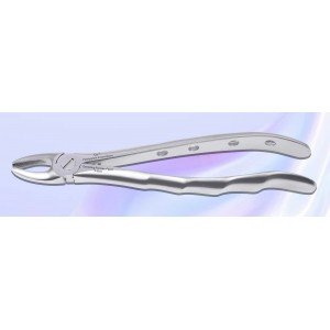 Upper Anterior Fig. No # 1-S-0034-P