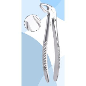 Lower Incisors/Canines Fig. No # 4