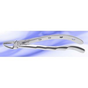 Upper Premolar Fig. No # 7-S-0038-P