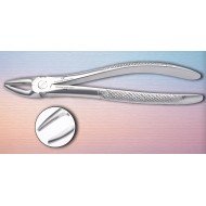 Upper Premolar Fig. No # 7