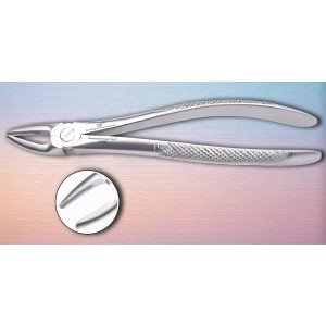 Upper Premolar Fig. No # 7