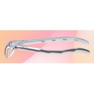 Lower Premolar Fig. No # 13-S-0040-P