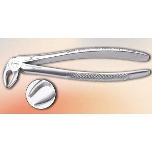 Lower Premolar Fig. No # 13-S-0040