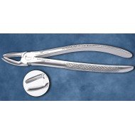 Upper Molar Right Fig. No # 17-S-0041