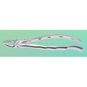 Upper Molar Left Fig. No # 18-S-0042-P