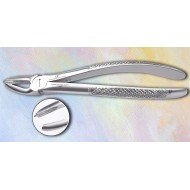 Upper Molar Left Fig. No # 18