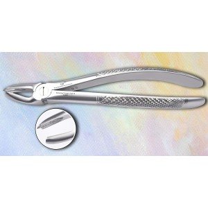 Upper Molar Left Fig. No # 18