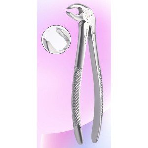 Lower Moler Fig. No # 22-S-0047