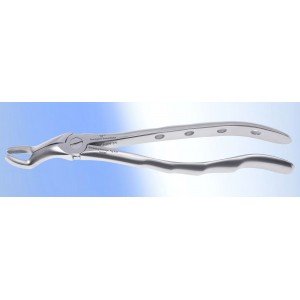 Upper Wisdom/Third Molar Fig. No # 67-S-0069-P