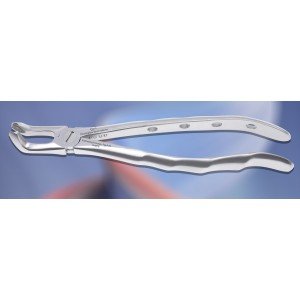 Lower Third Molar Fig. No # 79- S-0079