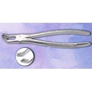 Lower Third Molar Fig. No # 79