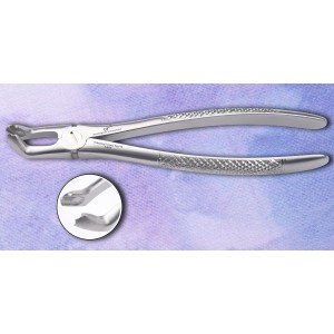 Lower Third Molar Fig. No # 79