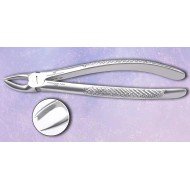 Upper Molar Cow Horn Right Fig. No # 89