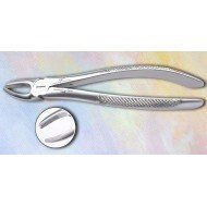 Upper Molar Cow Horn Left Fig. No # 90