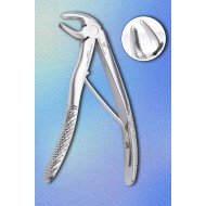 Lower Molar Paedo Fig. 7